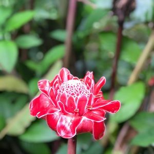 Meet your Posher, Martha